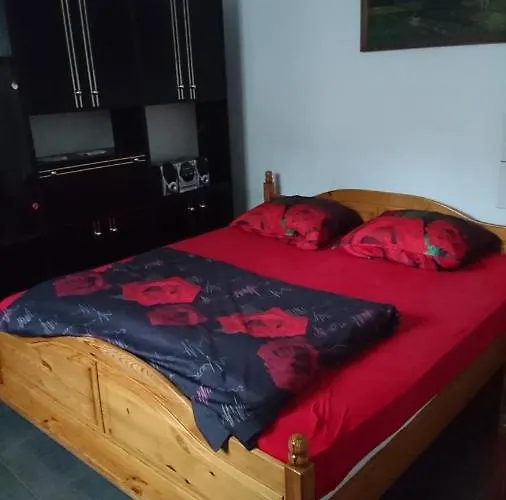 Vandrarhem Mfenixs *